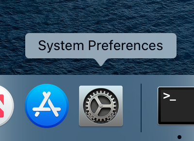 System Preferences Icon.